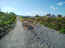 2019年台風19号