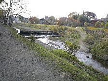 のどかな風景