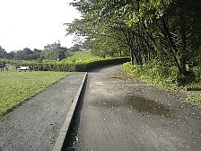 公園内砂利道