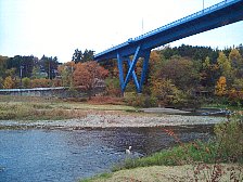 対岸からの山田大橋