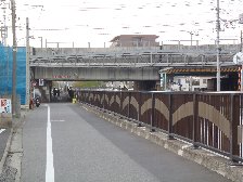 横須賀線と新幹線