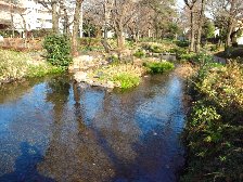 根川緑道