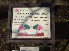 根川緑道のはなし