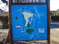 小山田緑地案内図