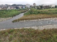 浅川（右側）との合流点