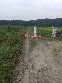 秋留橋右岸下流